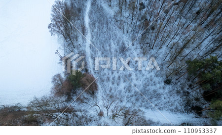 Snow-Clad Slope and Bare Trees 110953337