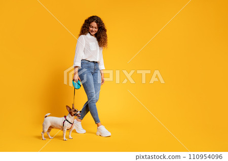 Woman walking a happy dog on a yellow background Woman walking a happy dog on a yellow background 110954096