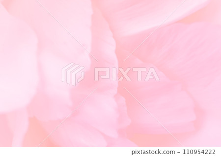 Petals/elegant background material Petals/elegant background material 110954222