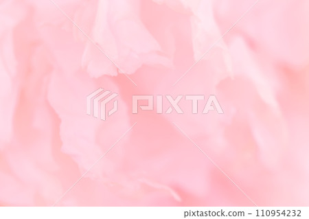Petals/elegant background material Petals/elegant background material 110954232