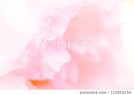 花瓣/雅華背景素材 110954234