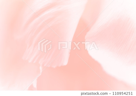 花瓣/雅華背景素材 110954251