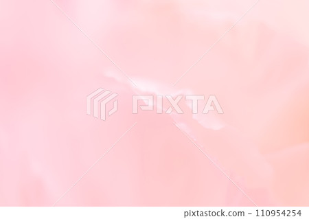 Petals/elegant background material 110954254