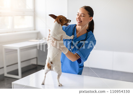 Vet sharing a happy moment with a dog 110954330