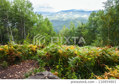 Altai mountains, wild landscape photo Altai mountains, wild landscape photo 110954801