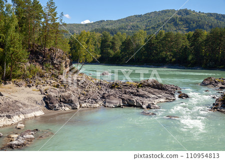 Rocky coast of Katun river on a sunny day, natural landscape photo 110954813