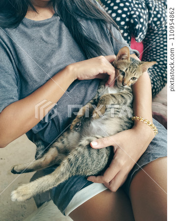 A woman holds a tabby cat in her lap, showing affection and bonding with the pet A woman holds a tabby cat in her lap, showing affection and bonding with the pet 110954862