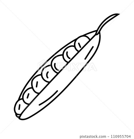 Green peas, pod in black and white doodle style. 110955704
