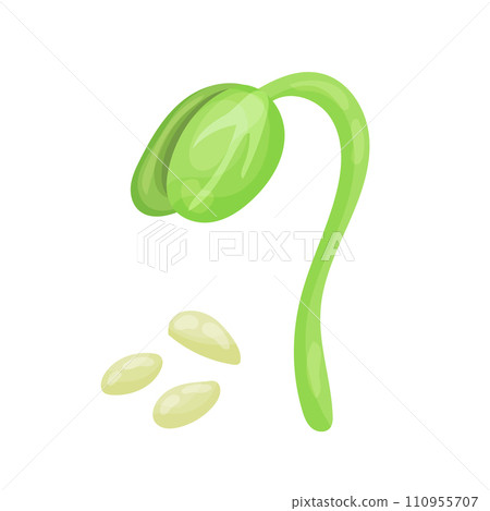 Sprout, sprouted seed, botanical vector illustration in cartoon style. 110955707