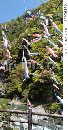 Carp streamer swimming above the mountain Carp streamer swimming above the mountain 110956550