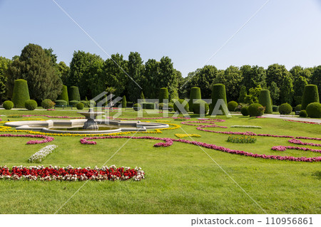 Flowerbed on the alley in the Schoenbrunn Palace Park Flowerbed on the alley in the Schoenbrunn Palace Park 110956861