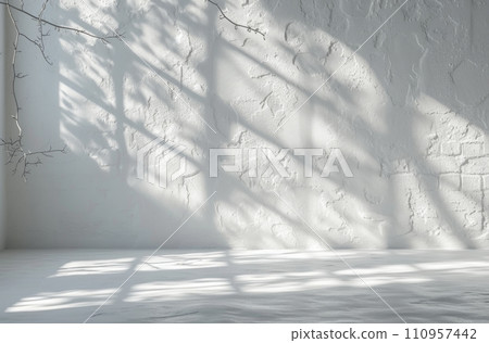 a white wall and a shadow from the window a white wall and a shadow from the window 110957442