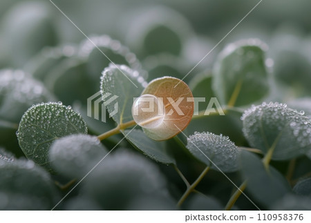 ashley kelly photography's wedding bouquet ashley kelly photography's wedding bouquet 110958376