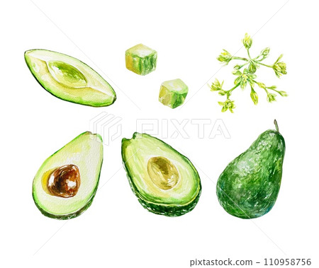 Avocado set, whole fruit, pieces, flower. Watercolor illustration isolated on white background. Food products, cosmetics, covers, labels, packaging. 110958756