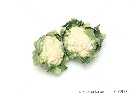 白色背景上的兩朵花椰菜 白色背景上的兩朵花椰菜 110959171