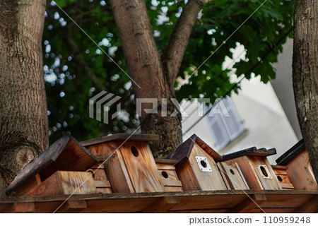 Bird houses in the garden Bird houses in the garden 110959248
