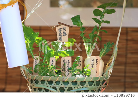 七草籃 春天七草種植 七草籃 春天七草種植 110959716