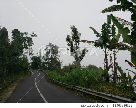 An asphalt road through the green jungle. Traveling during the day 110959932