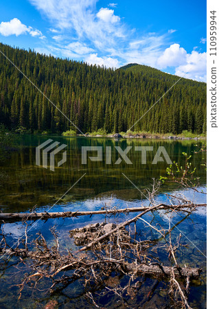 Incredibly beautiful transparent emerald calm lake with reflection of rocky mountain on the Black Prince Cirque Trail. An old dry coniferous tree fell in a mountain forest on the shore of a lake Incredibly beautiful transparent emerald calm lake with reflection of rocky mountain on the Black Prince Cirque Trail. An old dry coniferous tree fell in a mountain forest on the shore of a lake 110959944