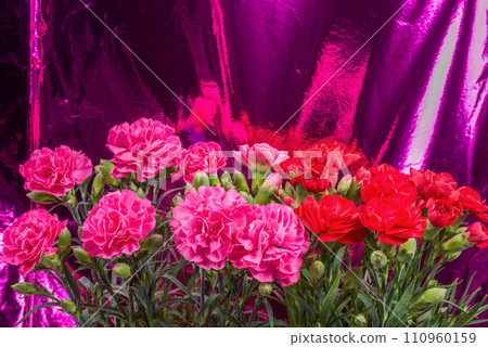 Pink and red carnation flowers on metallic pink background Pink and red carnation flowers on metallic pink background 110960159