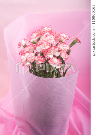Bouquet of white carnations with pink border on pink background 110960165