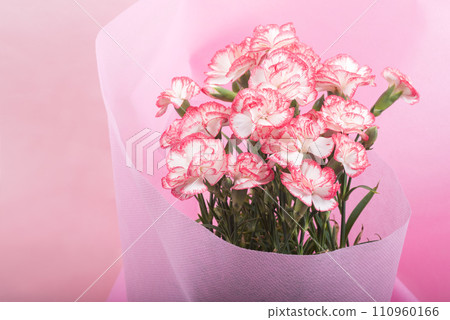 粉紅色背景上帶有粉紅色邊框的白色康乃馨花束的特寫 110960166