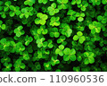Shamrock green background 110960536