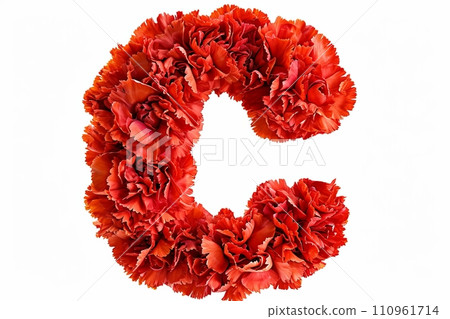 Carnation flower 3d letter  c  isolated on white background for creative designs and floral concepts 110961714