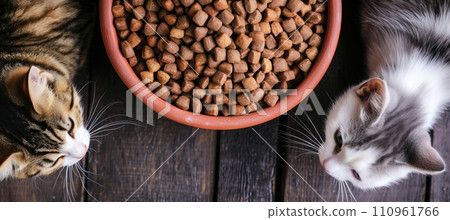 Eager kittens gathered for a meal   cute cats, blissful pets, nutrition background. 110961766