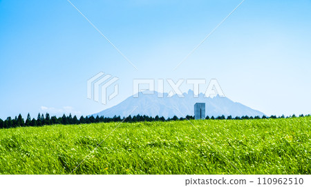 「產山農場(阿蘇區產山村)」是一片風吹的高原景觀,背景是美麗的藍天和阿蘇山(貓岳)。 「產山農場(阿蘇區產山村)」是一片風吹的高原景觀,背景是美麗的藍天和阿蘇山(貓岳)。 110962510