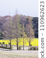Satoyama scenery blooming in the fresh greenery of spring 110962623