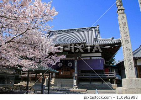 曼陀羅寺/第72寺(香川縣/四國參拜) 曼陀羅寺/第72寺(香川縣/四國參拜) 110962988