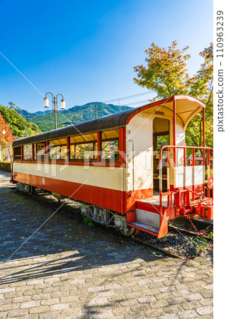 靜岡縣大井川鐵道觀光之旅：千頭車站駅之裡展示的車輛 110963239