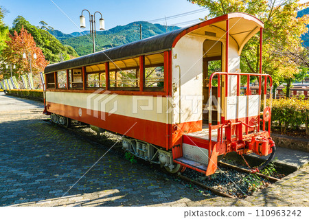 靜岡縣大井川鐵道觀光之旅：千頭車站駅之裡展示的車輛 110963242