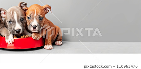 Eager small puppies anticipating meal, domestic pet bliss, breed nutrition panorama with copy space Eager small puppies anticipating meal, domestic pet bliss, breed nutrition panorama with copy space 110963476