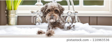 Happy dog in bubble bath with window view, cheerful canine in sudsy tub, panorama with copy space Happy dog in bubble bath with window view, cheerful canine in sudsy tub, panorama with copy space 110963536