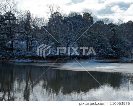 Snowy morning, pond scenery Snowy morning, pond scenery 110963976