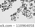 秋天的樹葉 110964058