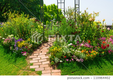 Nunobiki Herb Garden in full bloom in Chuo Ward, Kobe City Nunobiki Herb Garden in full bloom in Chuo Ward, Kobe City 110964402