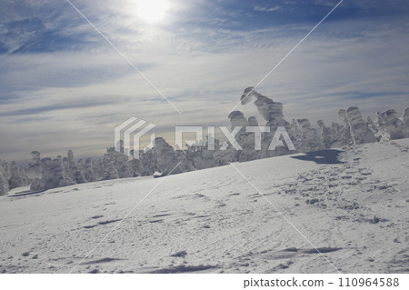 Hakkoda ice of winter Hakkoda ice of winter 110964588