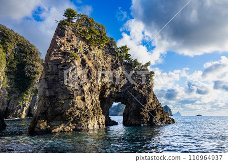 西伊豆浮島海岸奇岩風光 110964937