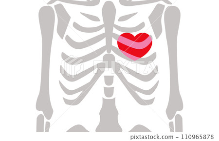 Image illustration of bones and heart Image illustration of bones and heart 110965878