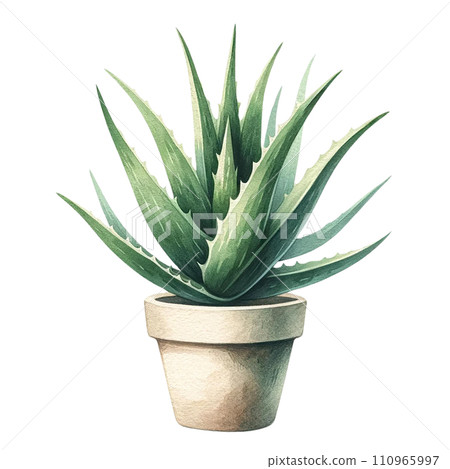 aloe vera drink original Aloe Vera Drink: Original 16.9 fl.oz main image 1