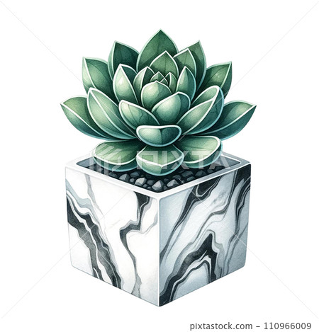 Succulent with a marble-patterned square pot  watercolor clipart 110966009