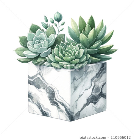 Succulent with a marble-patterned square pot watercolor clipart Succulent with a marble-patterned square pot watercolor clipart 110966012