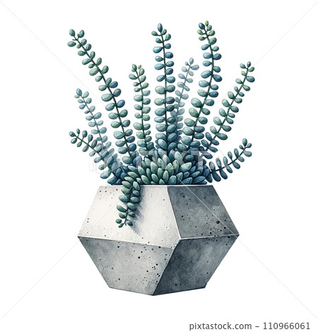 Succulent with a concrete geometric planter watercolor clipart 110966061