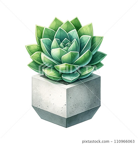 Succulent with a concrete geometric planter watercolor clipart 110966063