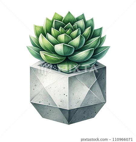 Succulent with a concrete geometric planter watercolor clipart Succulent with a concrete geometric planter watercolor clipart 110966071