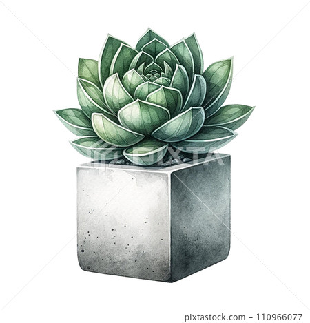 Succulent plant with a concrete planter watercolor clipart 110966077