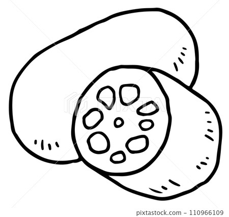 lotus root line drawing 110966109